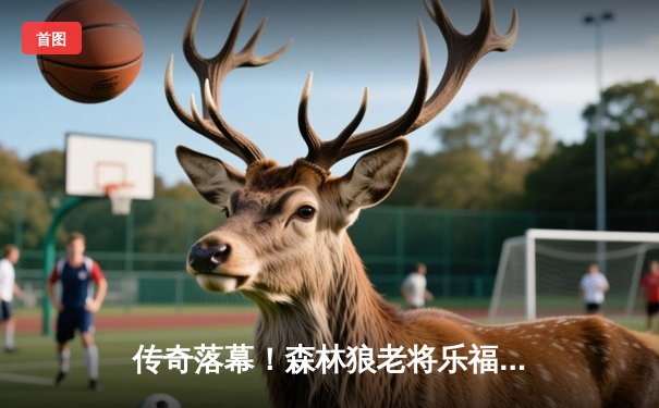 传奇落幕！森林狼老将乐福宣布赛季后退役，职业生涯场均17+10数据定格