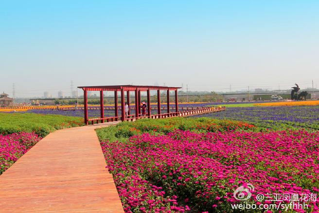 花间喜事·果香童趣——一站式农旅休闲综合观光活动策划