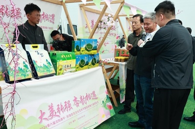 第六届沈阳康平&middot;张强杏花艺术节启动